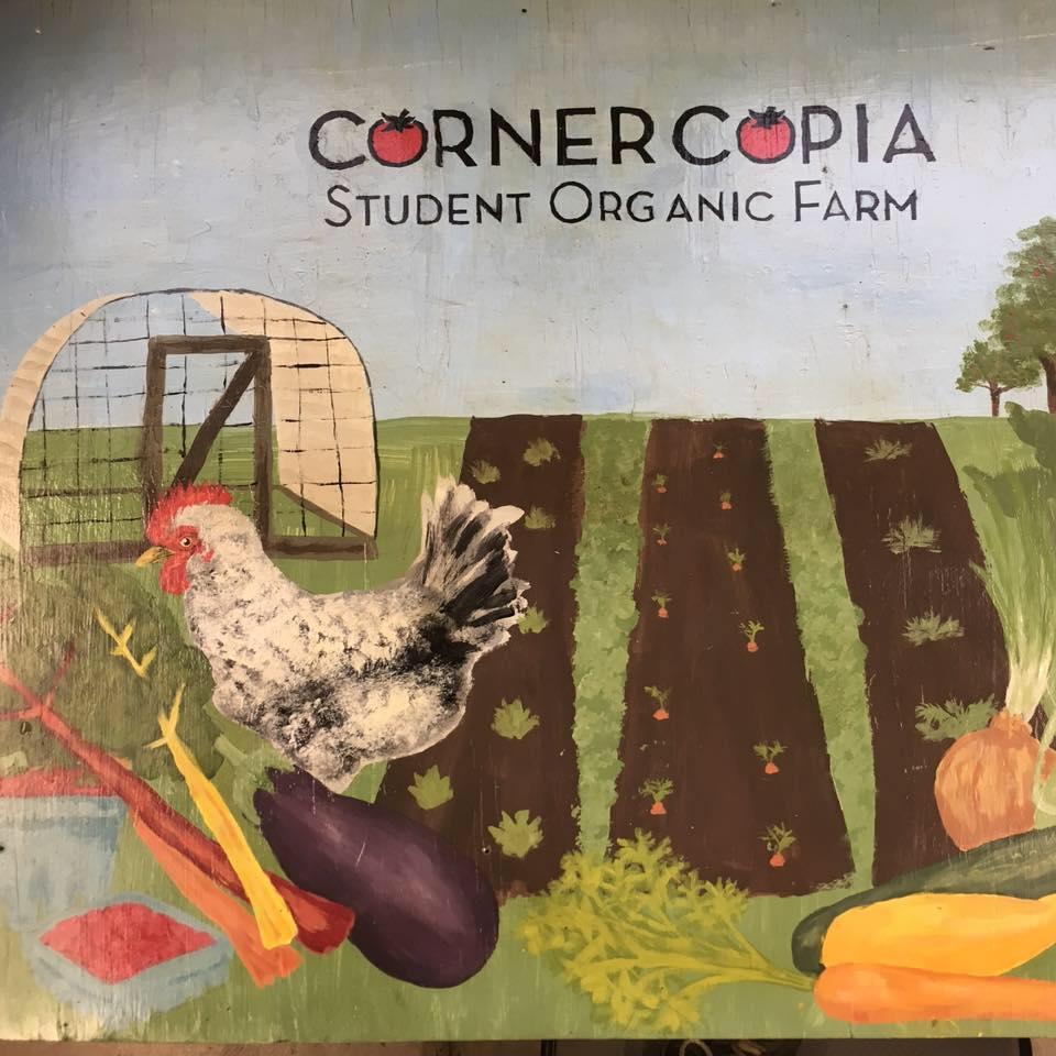 Cornercopia Student Organic Farm Facebook image