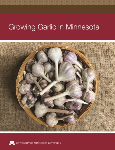 Growing Garlic in Minnesota cover image
